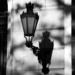 Facade lamp, in daylight by kork