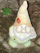 20th Nov 2023 - Gnome