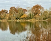 22nd Nov 2023 - Barden Lake