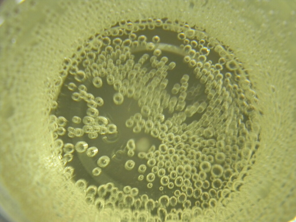 Sparkling Grape Juice Bubbles  by sfeldphotos