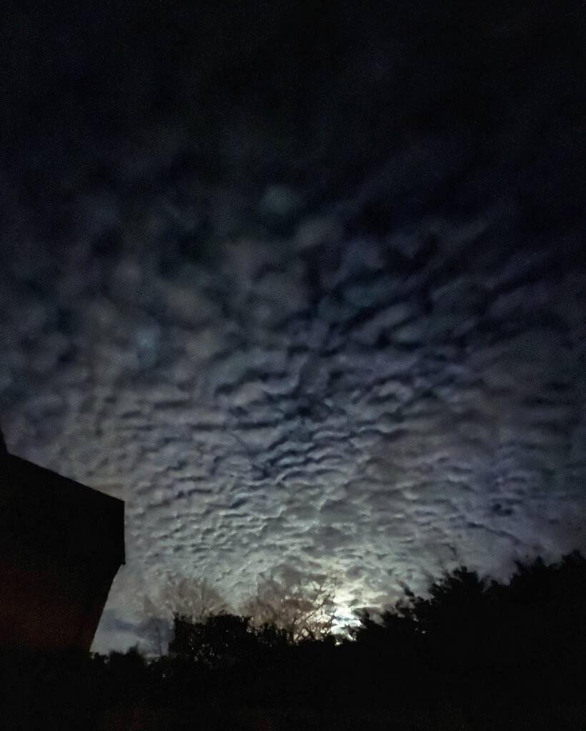 Mackerel night sky by gaillambert