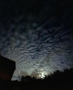 21st Nov 2023 - Mackerel night sky
