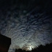 Mackerel night sky by gaillambert