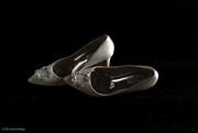 22nd Nov 2023 - The Bride's Shoes
