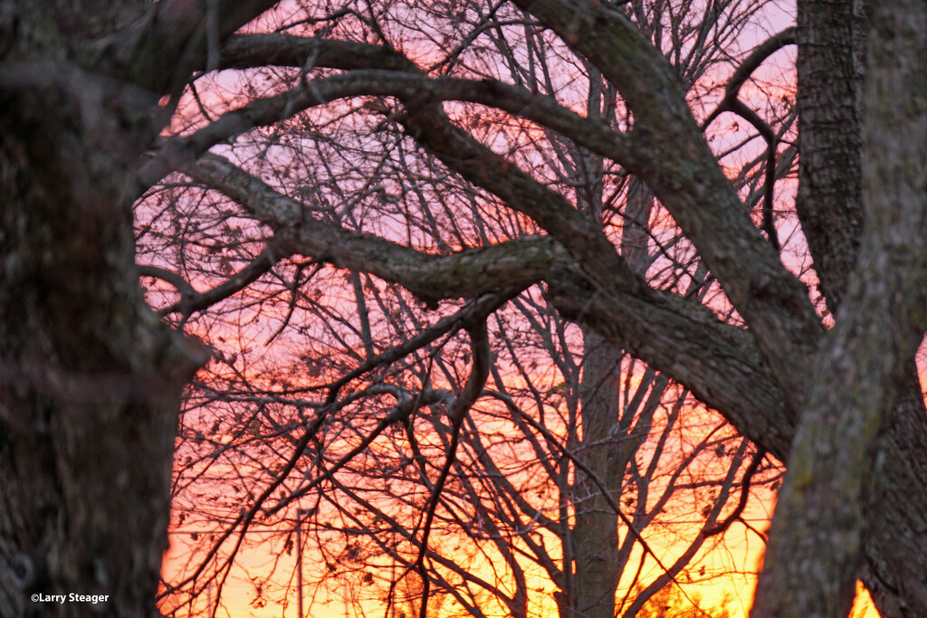 Fall sunset by larrysphotos