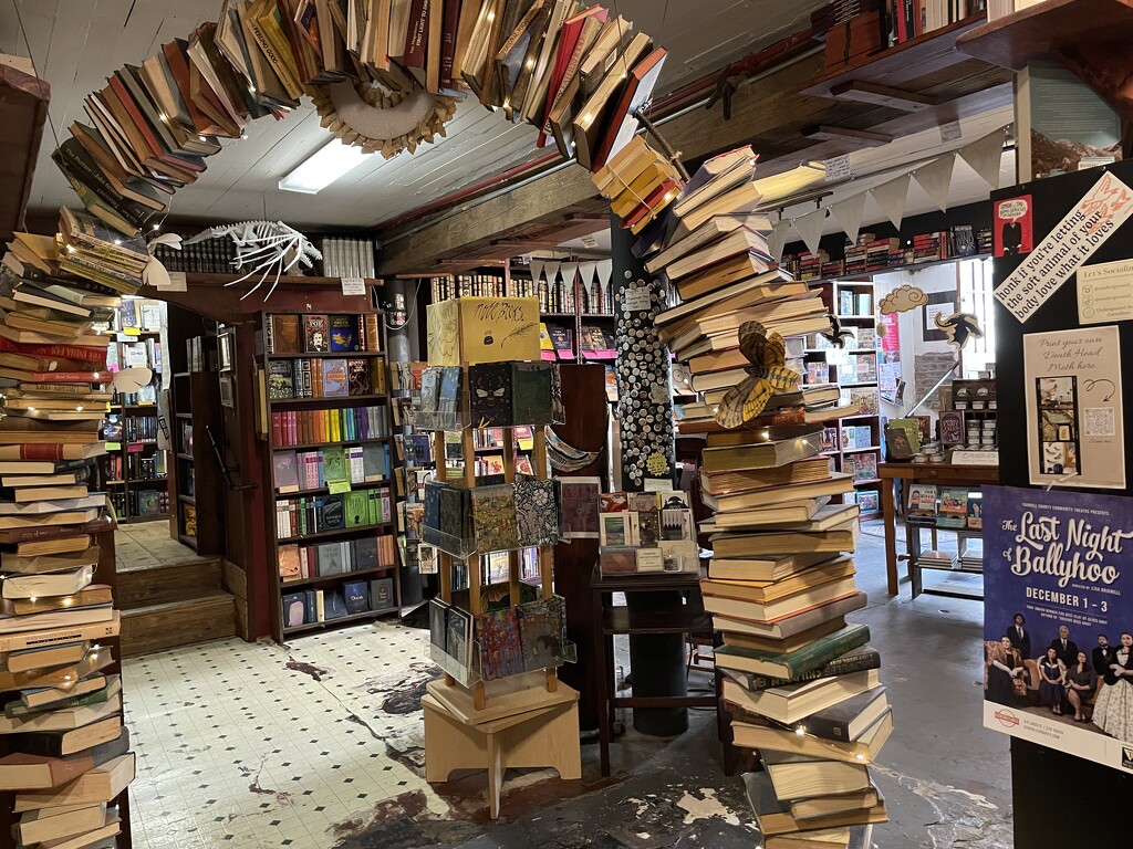 Incredible Bookstore in Carrollton, GA by margonaut