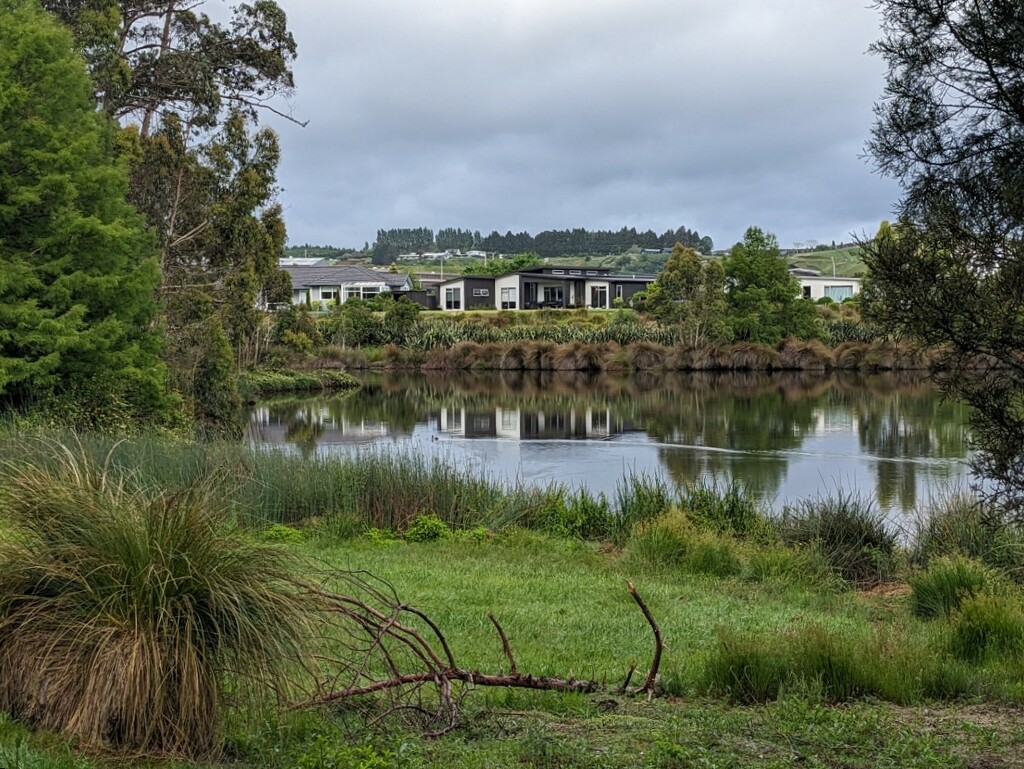 Overcast light gave me a good reflection by sandradavies