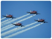 23rd Nov 2023 - The Roulettes