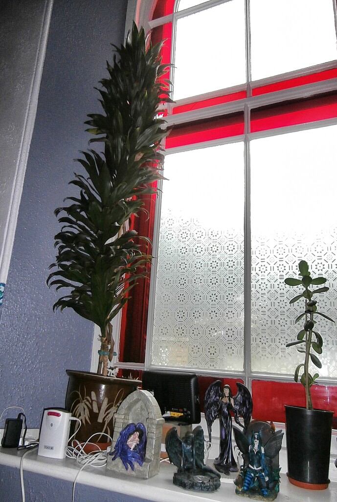 Spiky plant....... by cutekitty