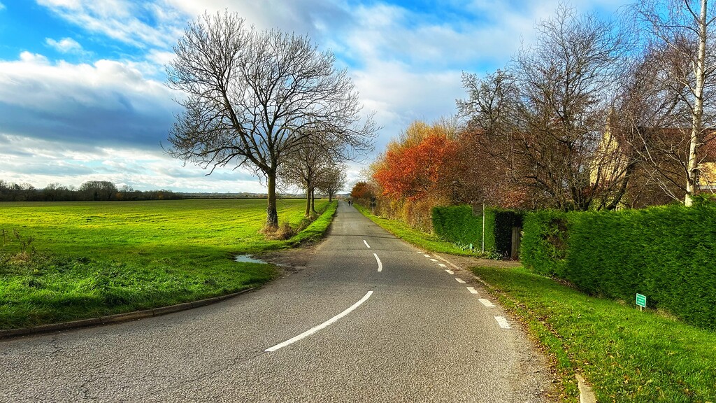 Country Road by carole_sandford