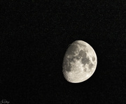 23rd Nov 2023 - Clear Sky and Moon 