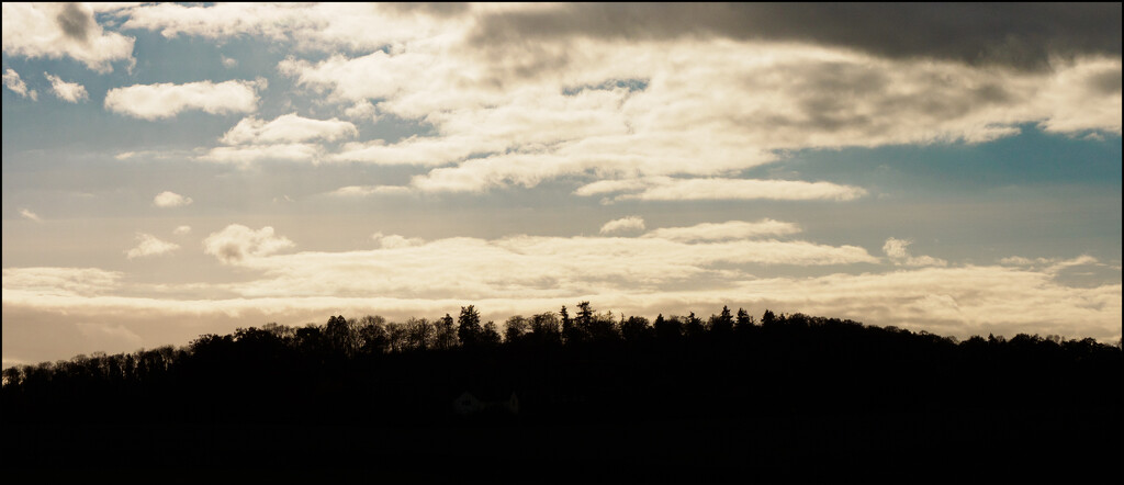 24 - Silhouette Distant Trees by marshwader