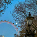 The moon @westminster London  by mounat