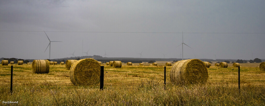 Scenes of the road, Western Victoria by ankers70