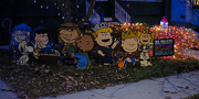 24th Nov 2023 - Charlie Brown Christmas 