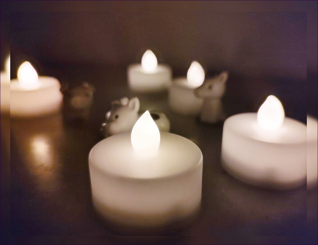 Critters by Candlelight by olivetreeann