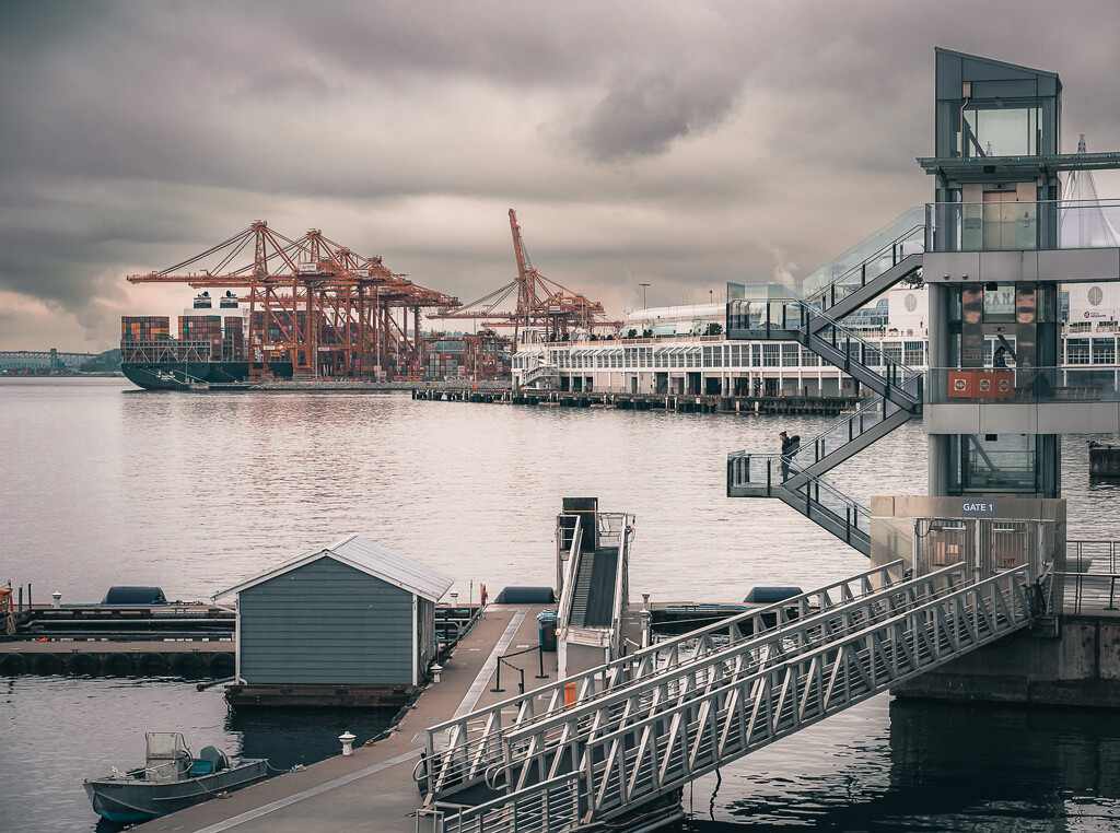 Vancouver Harbour by cdcook48