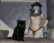 25th Nov 2023 - Cleo and the cat..........