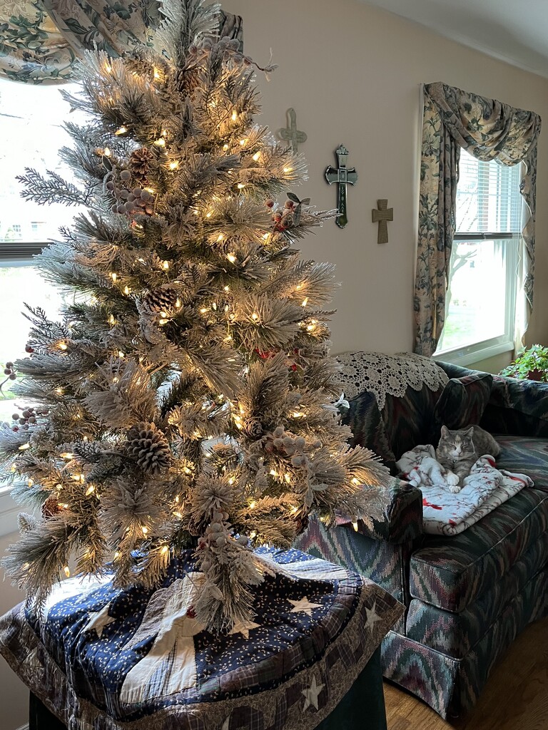 A New Christmas Tree by pej76