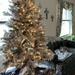A New Christmas Tree by pej76