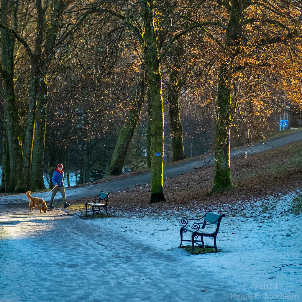 Walking the dog by helstor365