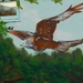 Red Kite
