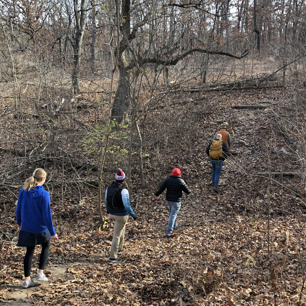 Family Hike by lsquared