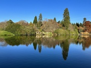 25th Nov 2023 - Sheffield Park Gardens