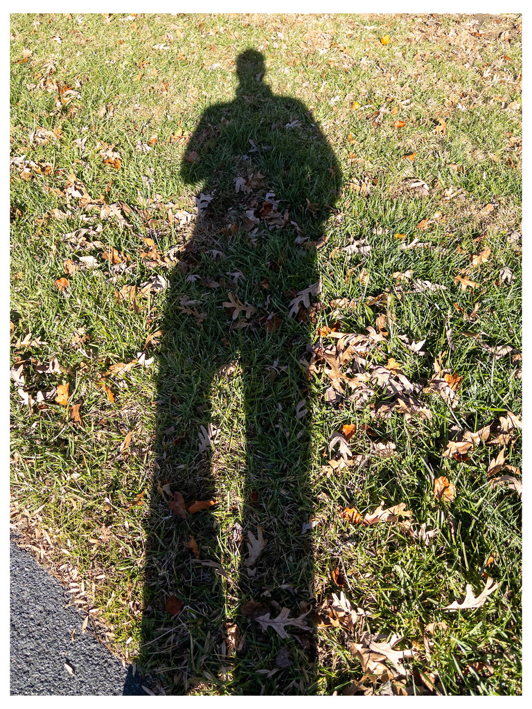 My shadow by robgarrett