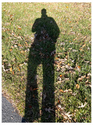 25th Nov 2023 - My shadow