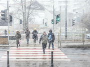 25th Nov 2023 - The pedestrian crossing