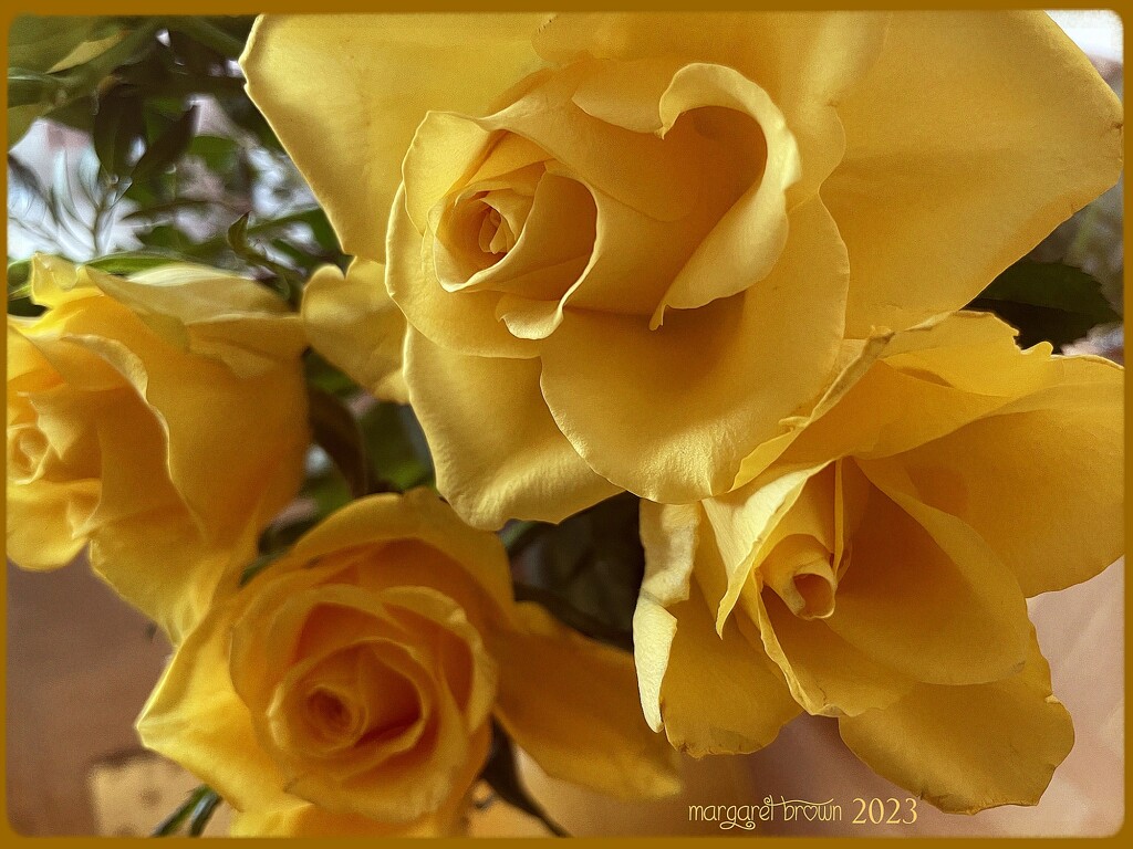Golden Roses by craftymeg