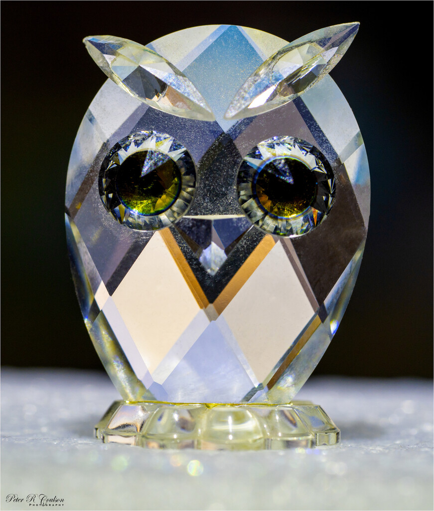 Crystal Owl by pcoulson
