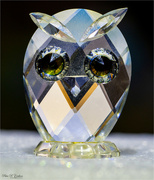 25th Nov 2023 - Crystal Owl