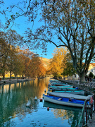 22nd Nov 2023 - Canal in Annecy. 