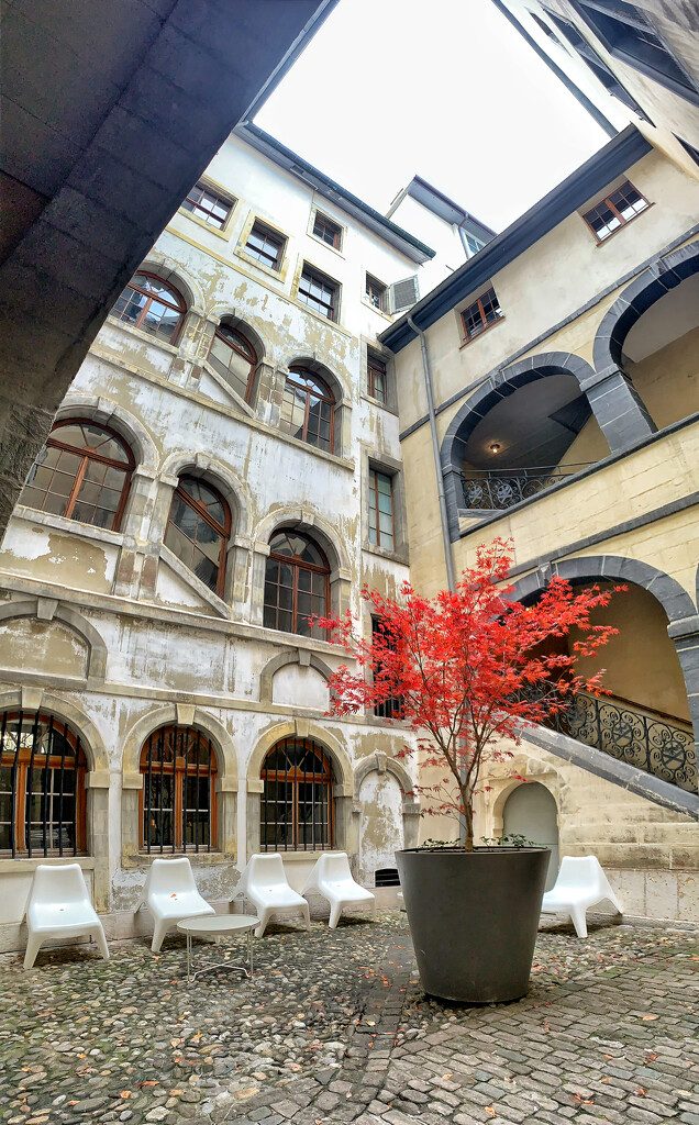Courtyard of the Maison Tavel.  by cocobella