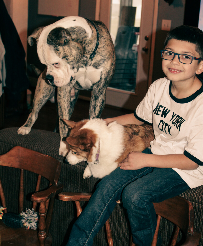 A kid and his dogs by paigers