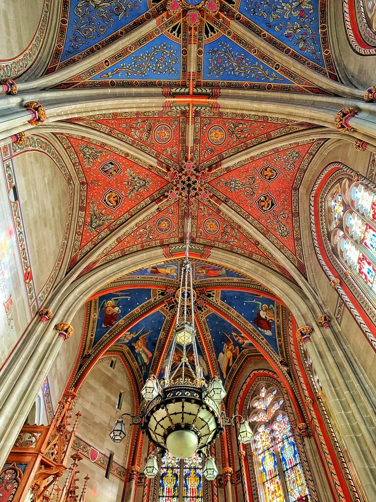Ceiling of the Saint Pierre cathedral.  by cocobella