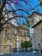 26th Nov 2023 - Saint Pierre cathedral. 