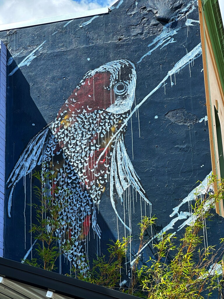 Fish mural by pusspup