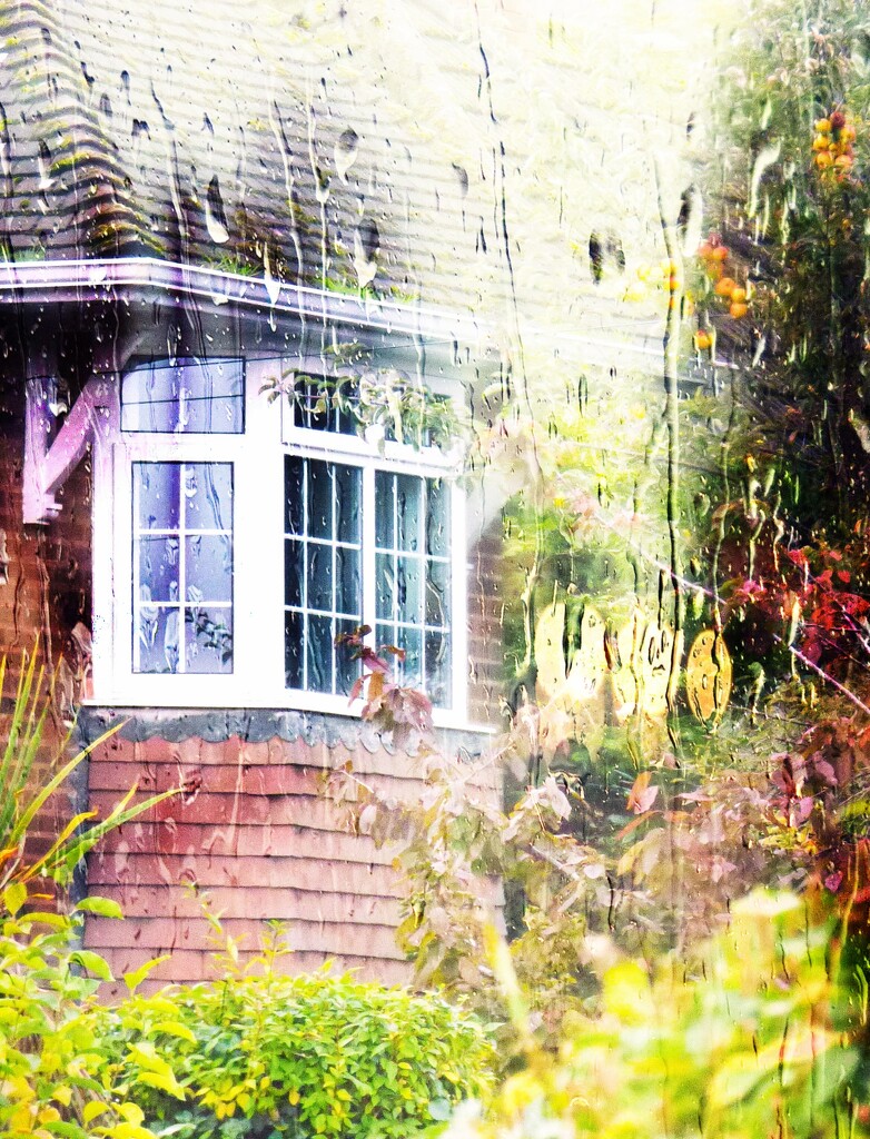 Window. by beryl