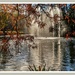 Fountain And Reflections,Jephson Gardens by carolmw