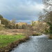River Wye by 365projectmaxine