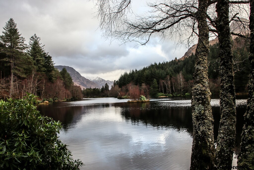 A Loch View by nodrognai