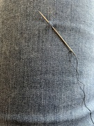 19th Nov 2023 - Needle and thread 