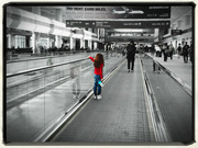 26th Nov 2023 - Airport color splash