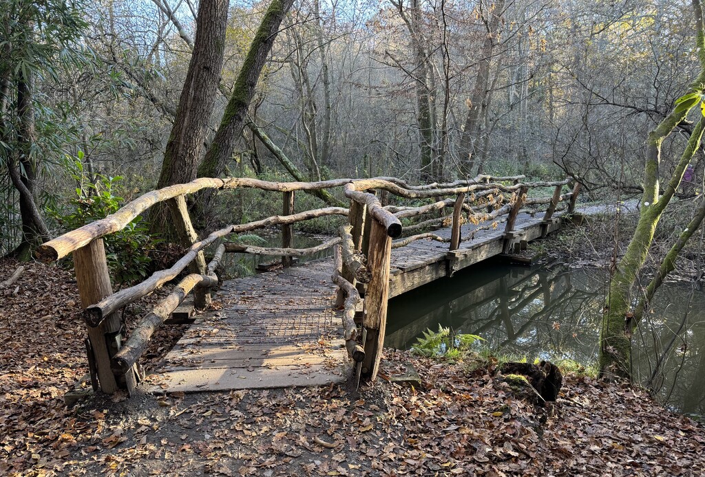 Wooden Bridge by jeremyccc