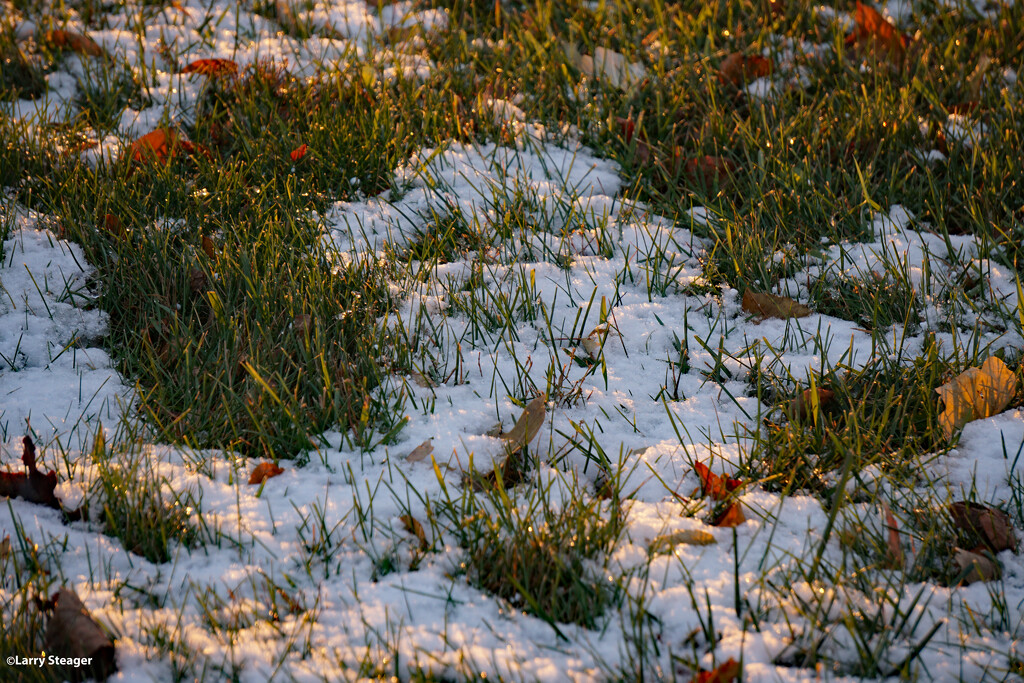 Fall Snow by larrysphotos