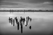 26th Nov 2023 - Pilings