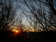 19th Nov 2023 - Fargo sunrise